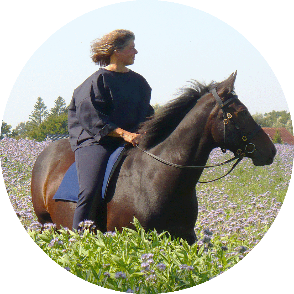 Sigrun Willers reitet auf braunem Pferd