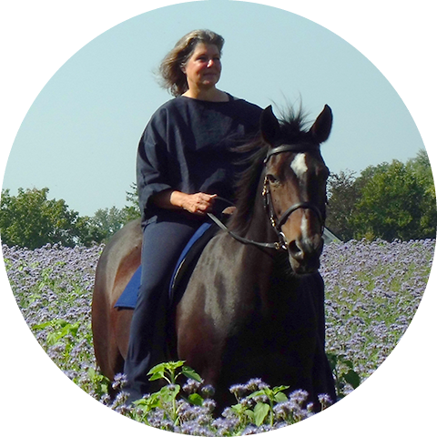 Sigrun Willers reitet auf braunem Pferd