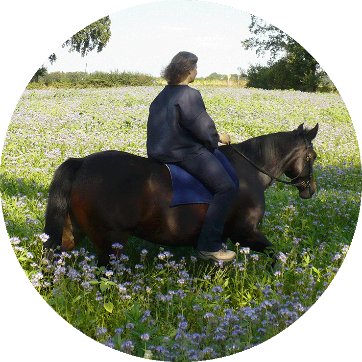 Sigrun Willers reitet auf braunem Pferd